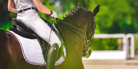 women wearing white leggings and ridding a brown horse with boots